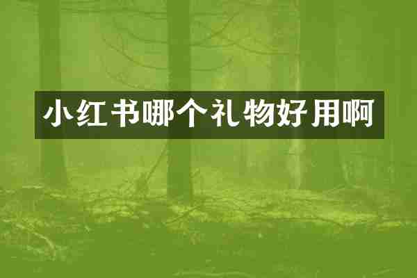 小红书哪个礼物好用啊