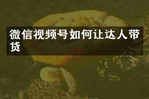 微信视频号如何让达人带货