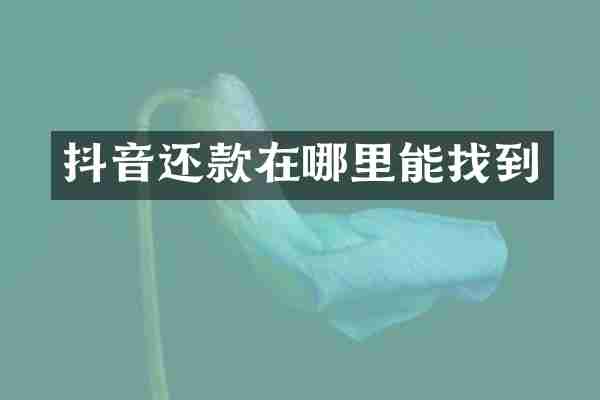 抖音还款在哪里能找到