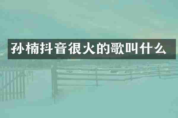孙楠抖音很火的歌叫什么