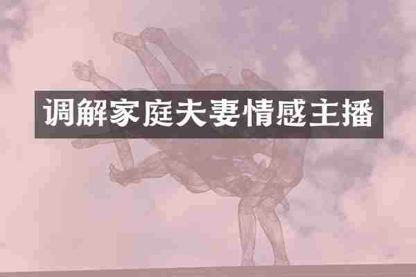 调解家庭夫妻情感主播