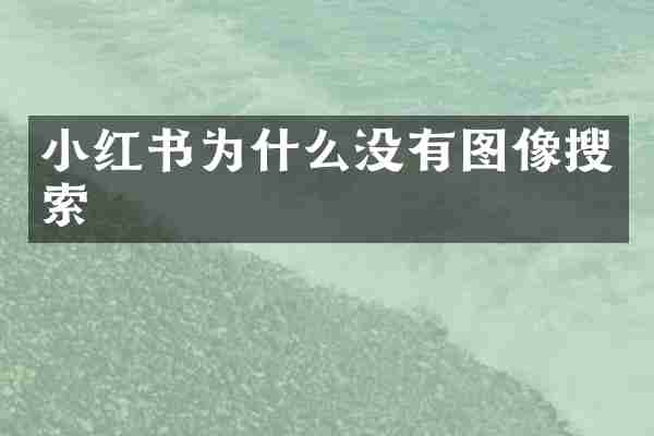 小红书为什么没有图像搜索
