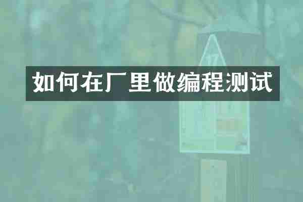 如何在厂里做编程测试