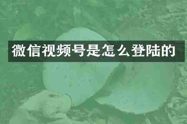 微信视频号是怎么登陆的