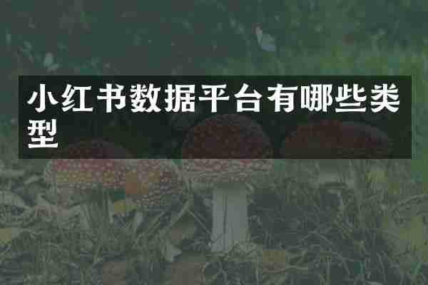 小红书数据平台有哪些类型