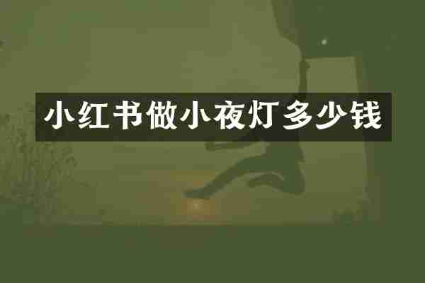 小红书做小夜灯多少钱