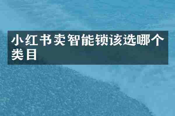 小红书卖智能锁该选哪个类目