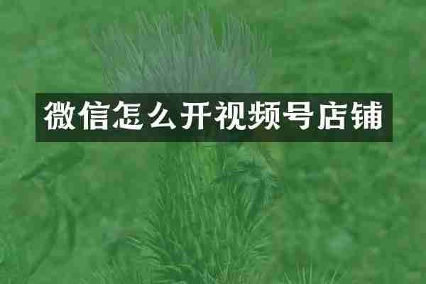 微信怎么开视频号店铺