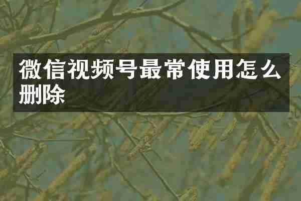 微信视频号最常使用怎么删除