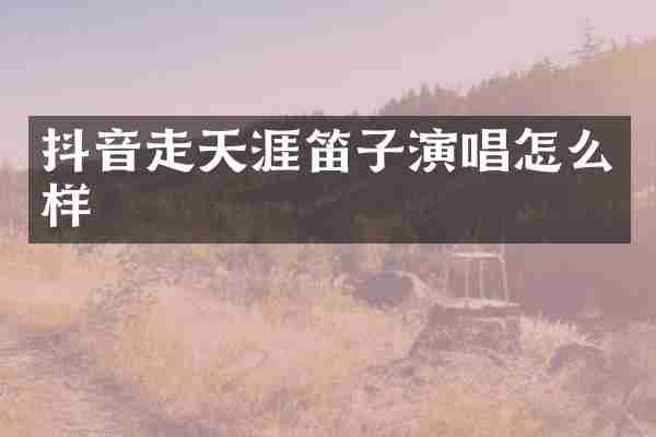 抖音走天涯笛子演唱怎么样