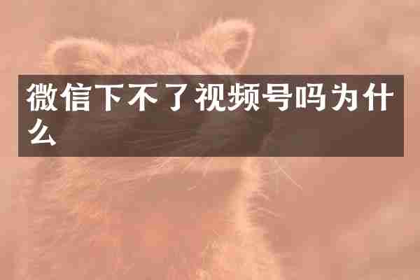 微信下不了视频号吗为什么