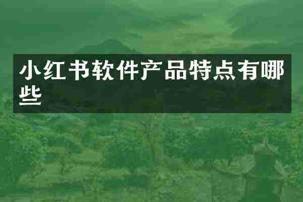 小红书软件产品特点有哪些