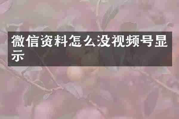 微信资料怎么没视频号显示
