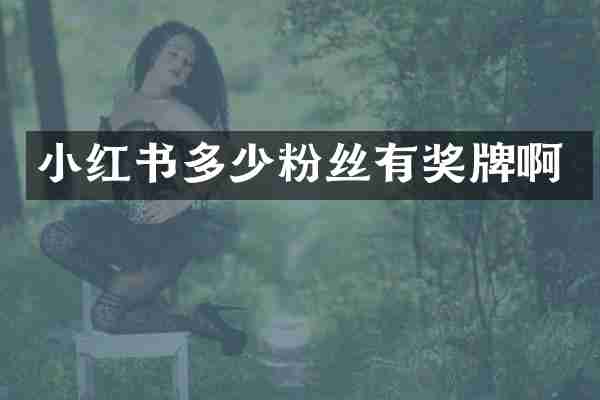 小红书多少粉丝有奖牌啊