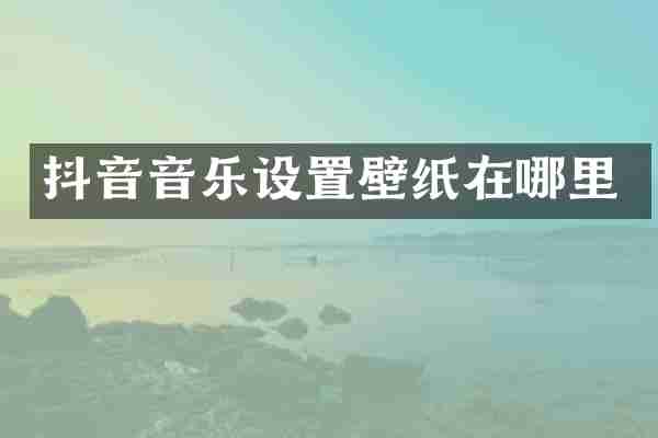 抖音音乐设置壁纸在哪里
