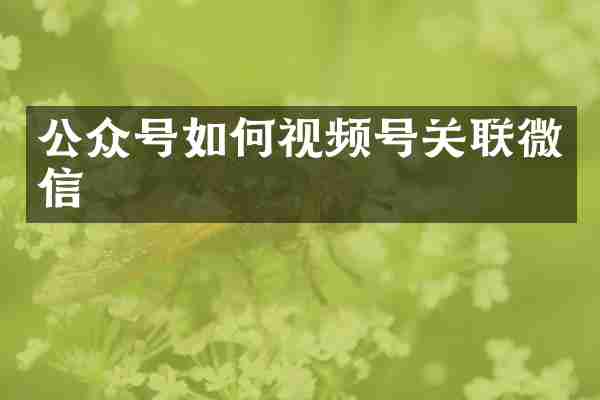 公众号如何视频号关联微信