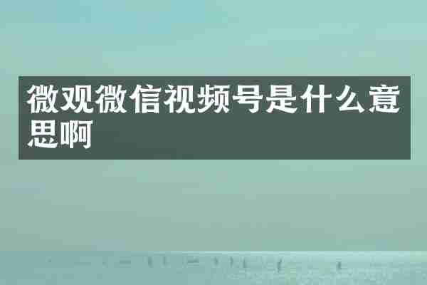 微观微信视频号是什么意思啊
