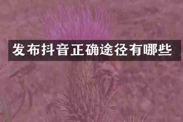 发布抖音正确途径有哪些