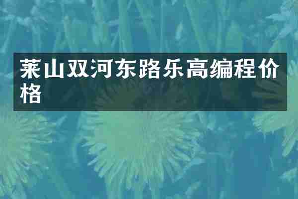莱山双河东路乐高编程价格