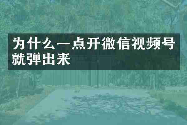 为什么一点开微信视频号就弹出来