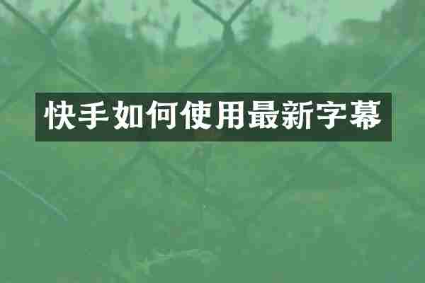 快手如何使用最新字幕