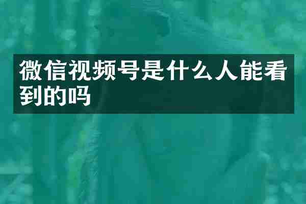 微信视频号是什么人能看到的吗