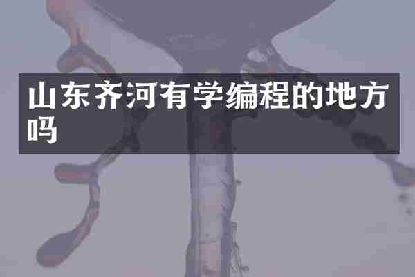山东齐河有学编程的地方吗
