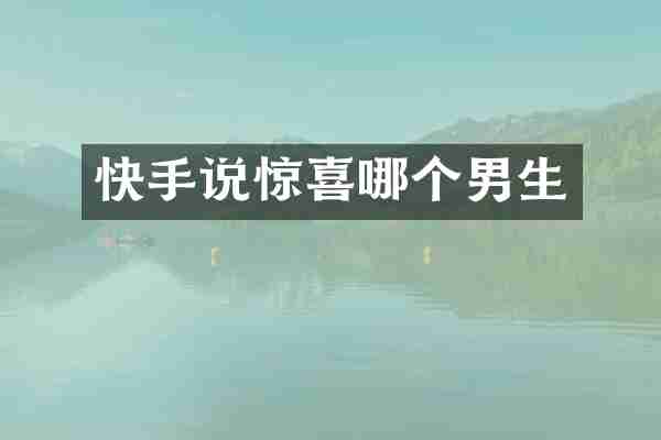 快手说惊喜哪个男生