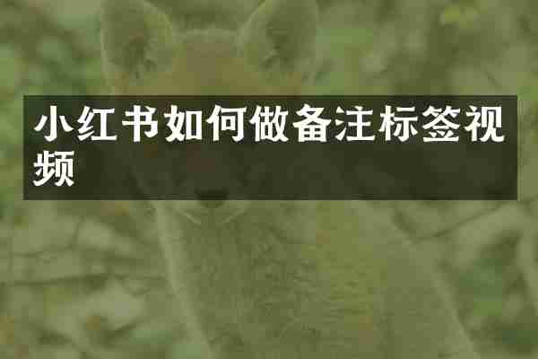 小红书如何做备注标签视频