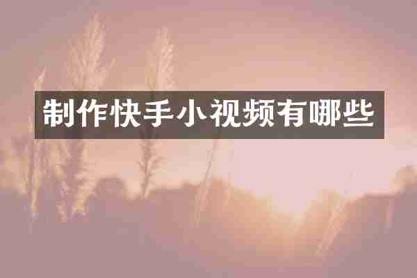 制作快手小视频有哪些