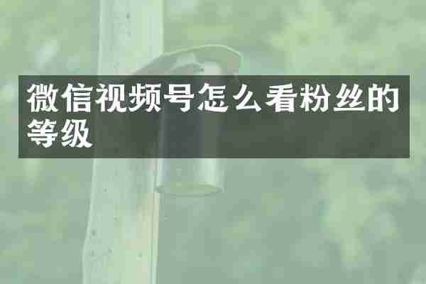 微信视频号怎么看粉丝的等级