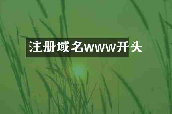 注册域名www开头