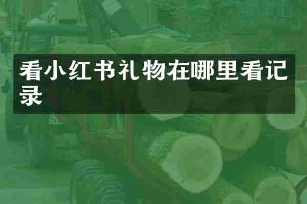 看小红书礼物在哪里看记录
