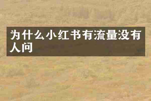 为什么小红书有流量没有人问