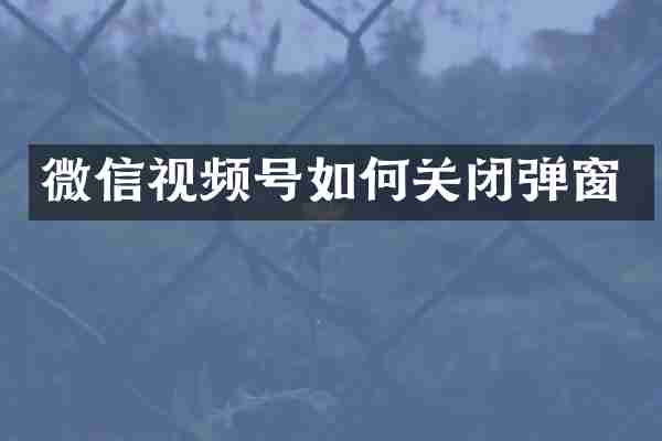 微信视频号如何关闭弹窗
