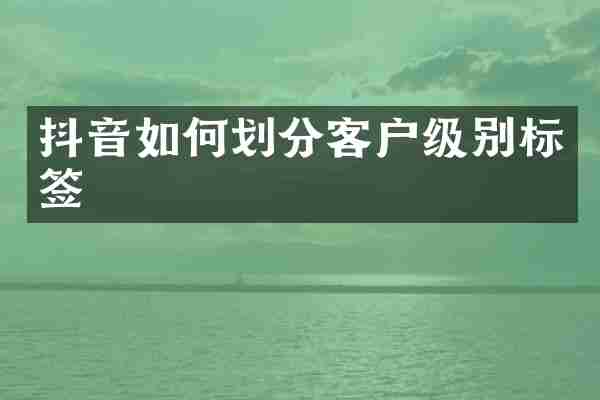 抖音如何划分客户级别标签