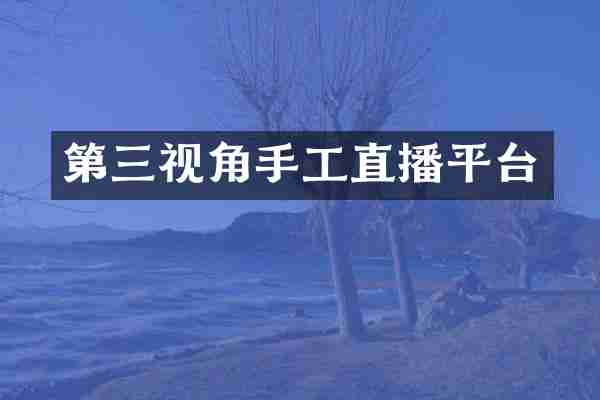 第三视角手工直播平台