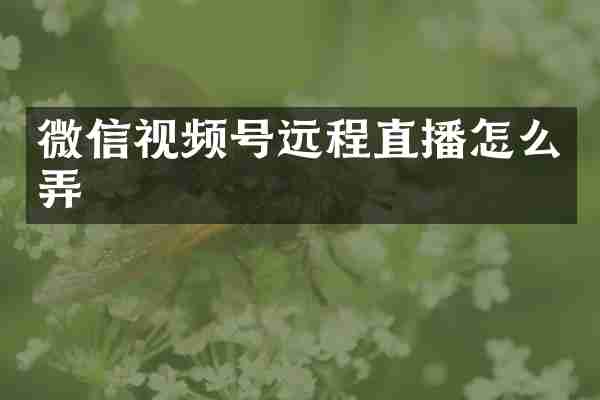 微信视频号远程直播怎么弄
