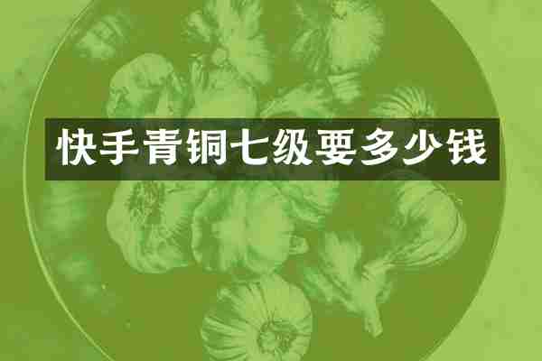 快手青铜七级要多少钱
