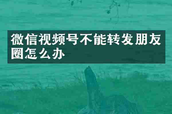 微信视频号不能转发朋友圈怎么办