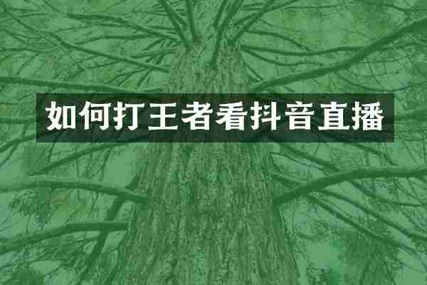 如何打王者看抖音直播