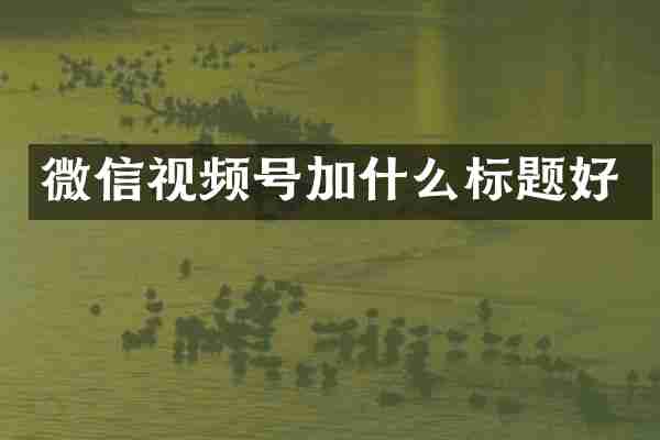 微信视频号加什么标题好