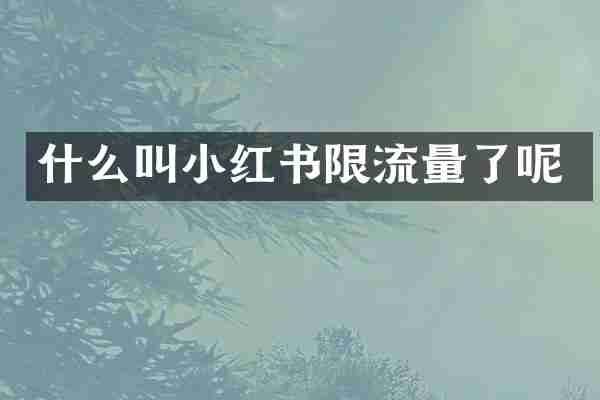 什么叫小红书限流量了呢