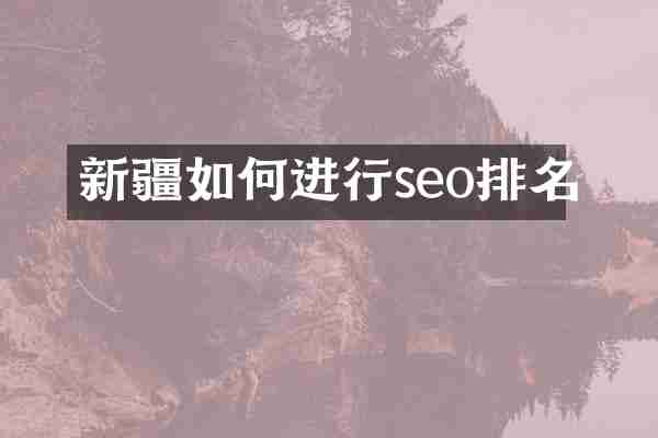 新疆如何进行seo排名