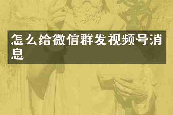 怎么给微信群发视频号消息