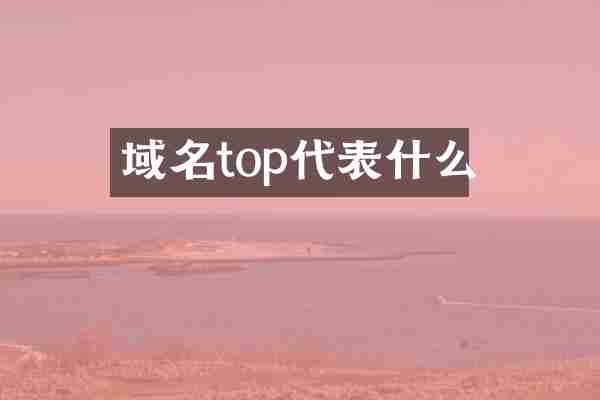 域名top代表什么