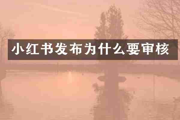 小红书发布为什么要审核