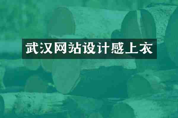 武汉网站设计感上衣
