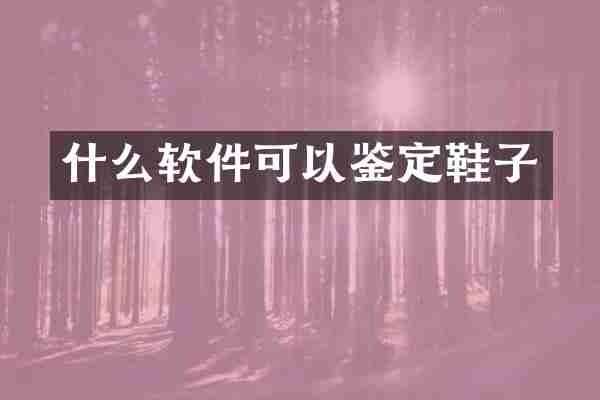 什么软件可以鉴定鞋子