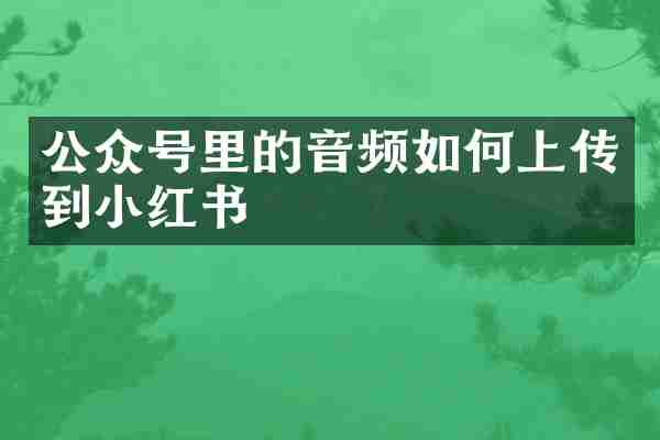 公众号里的音频如何上传到小红书